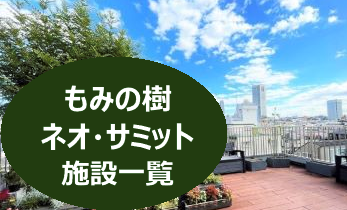 もみの樹&ネオ・サミット