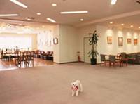 介護付有料老人ホーム ウェルハイム八王子(新館)