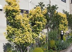 グループホーム ヒューマンライフケアグループホーム高津